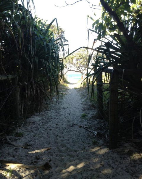 On The Beach At Hastings Point - Whitsundays Accommodation 1
