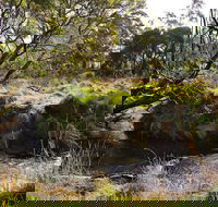 Green Gully House - Whitsundays Accommodation