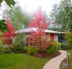 Dalrymples Guest Cottages - Whitsundays Accommodation