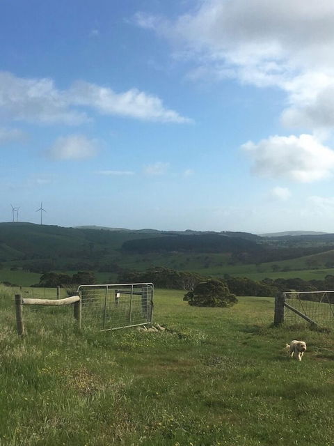 Morella Farm Stay - Whitsundays Accommodation 2