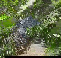 Montagues of Montville - Whitsundays Accommodation