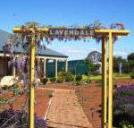 Lavendale Farmstay  Cottages York - Whitsundays Accommodation