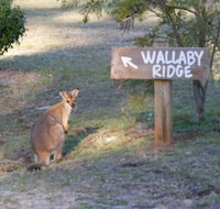 Wallaby Ridge Retreat - Whitsundays Accommodation