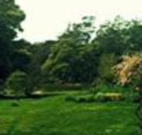 Birdwing Bed  Breakfast Weegena - Whitsundays Accommodation