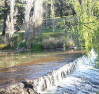 Avocados Accommodation - Whitsundays Accommodation