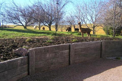 Valleyfield Cottage - Whitsundays Accommodation 4
