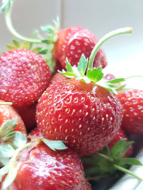 Queen's Cottage Bed And Breakfast Barossa Valley - Whitsundays Accommodation 4