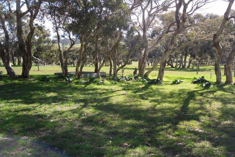 Wenton Farm Holiday Cottages - Whitsundays Accommodation 3