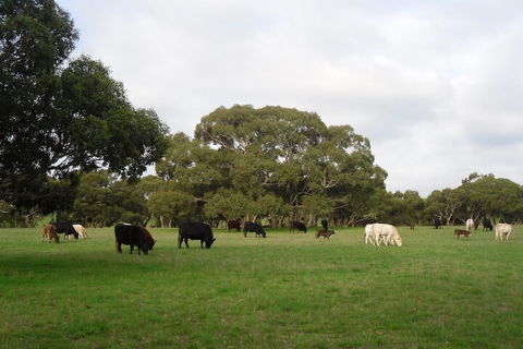 Wenton Farm Holiday Cottages - Whitsundays Accommodation 4