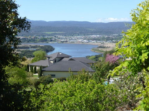 Protea Hill - Whitsundays Accommodation 2