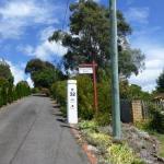 Protea Hill - Whitsundays Accommodation 0
