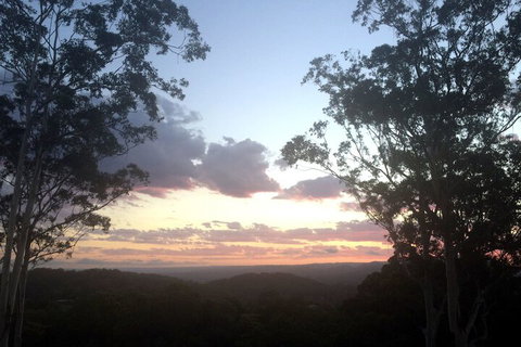 Phoenix Eumundi Bed & Breakfast - Whitsundays Accommodation 1