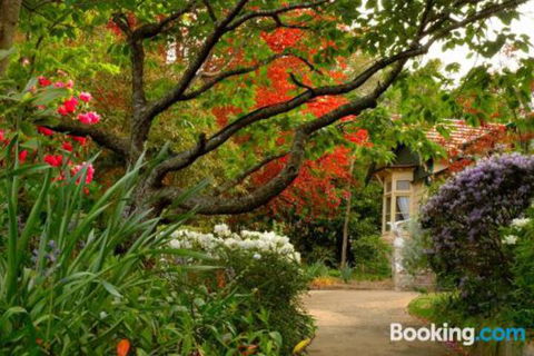 Broomelea Bed & Breakfast - Whitsundays Accommodation 2