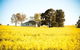 Colenso Country Retreat - thumb 4