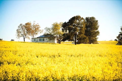 Colenso Country Retreat - Whitsundays Accommodation 4