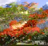 Eastwood Farm - Whitsundays Accommodation