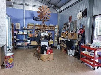 Litchfield Tourist Park - Campground - Whitsundays Accommodation 2