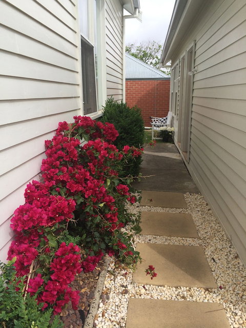 Ruby's Queenscliff - Whitsundays Accommodation 5