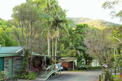 Mt Warning Rainforest Park - Whitsundays Accommodation 2