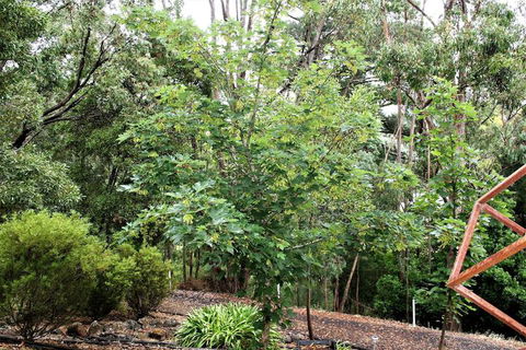 Tangenong Cottages - Whitsundays Accommodation 4