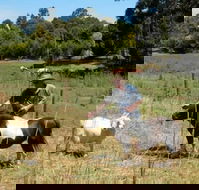 Country Cottages of Bridgetown - Whitsundays Accommodation