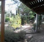 Friends in Harcourt North