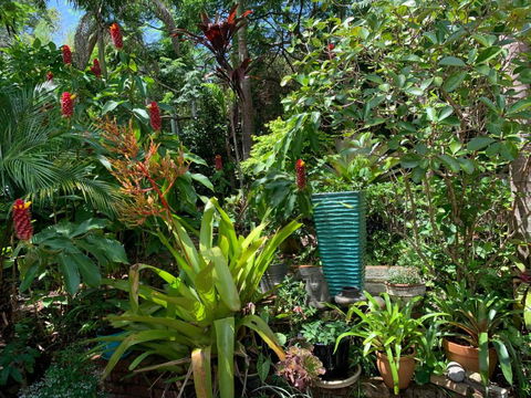 305 Montville - Whitsundays Accommodation 4