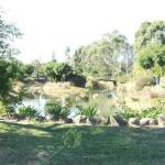 Still Waters - Whitsundays Accommodation 0