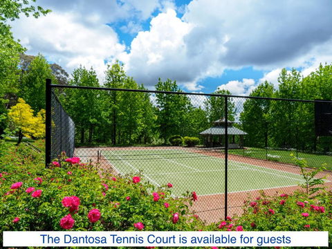 Dantosa Blue Mountains Retreat - Whitsundays Accommodation 7