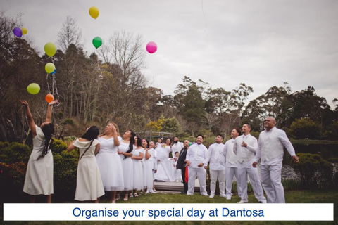 Dantosa Blue Mountains Retreat - Whitsundays Accommodation 5
