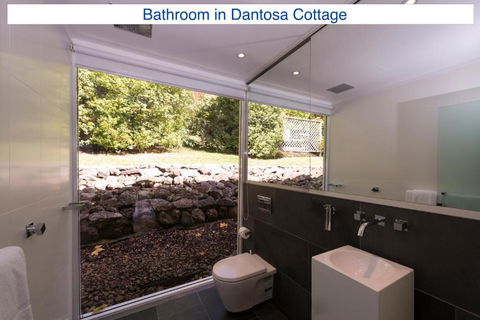 Dantosa Blue Mountains Retreat - Whitsundays Accommodation 2