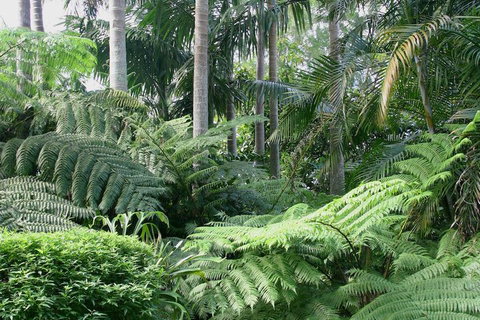 Amore Mt Tamborine - Whitsundays Accommodation 1