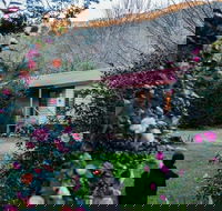 Mystic View Cottage Wandiligong - Whitsundays Accommodation