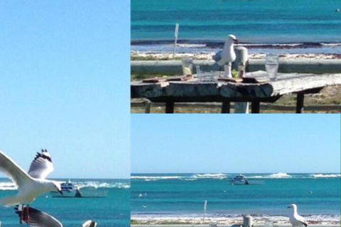 Lous Place - Whitsundays Accommodation 6