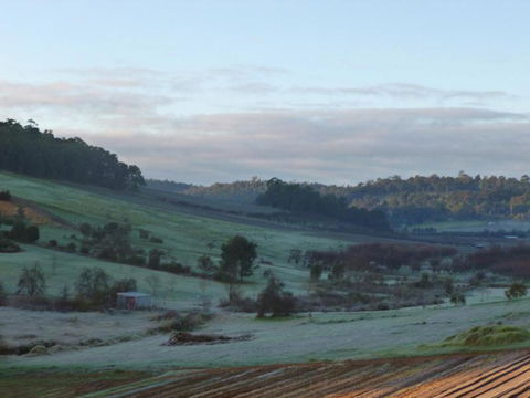 Bickley Valley Cottage - Whitsundays Accommodation 2