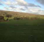 Mancuso Country Cottage Retreat - Whitsundays Accommodation