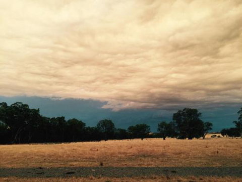 Birchwood Cottage - Whitsundays Accommodation 2