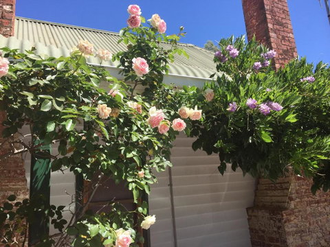 Birchwood Cottage - Whitsundays Accommodation 3