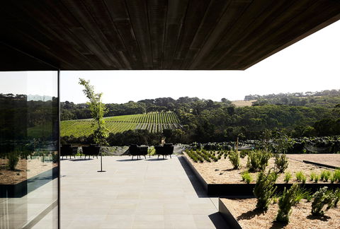 Jackalope Hotel - Whitsundays Accommodation 3