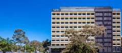 Mantra MacArthur Hotel - Whitsundays Accommodation 0