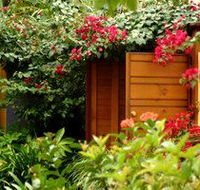 Pink Flamingo - Whitsundays Accommodation