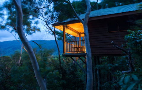 Thala Beach Nature Reserve - Whitsundays Accommodation 0