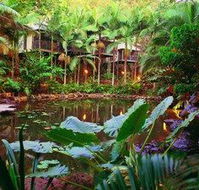 Daintree Eco Lodge  Spa - Whitsundays Accommodation