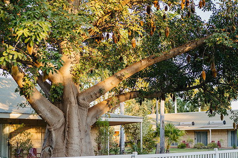 Kimberley Grande Resort & Conf Ctr - Whitsundays Accommodation 0