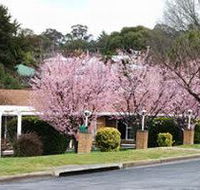 White Lanterns Motel - Whitsundays Accommodation