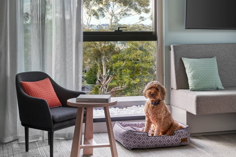 Element Melbourne Richmond - Whitsundays Accommodation 2