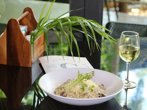 Mercure Darwin Airport Resort - Whitsundays Accommodation 11