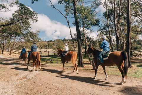 Country Club Tasmania - Whitsundays Accommodation 0