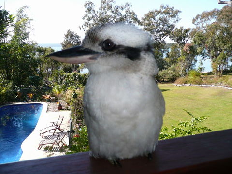 Yarrandabbi Dreaming Boutique B&B - Whitsundays Accommodation 2