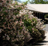 Wine Village Motor Inn - Whitsundays Accommodation